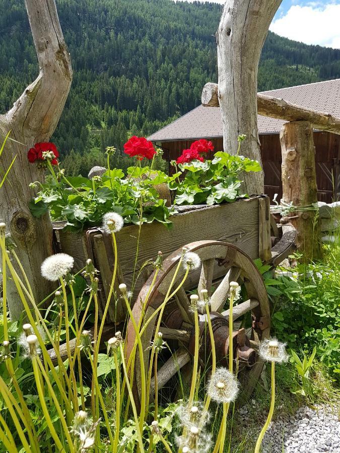 Pension Fuerhapter Mit Bio- Bauernhof St Jakob in Defereggen Eksteriør billede